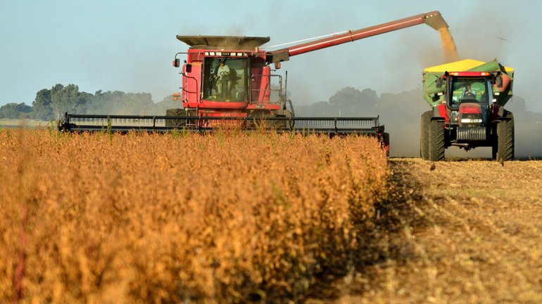 Agro